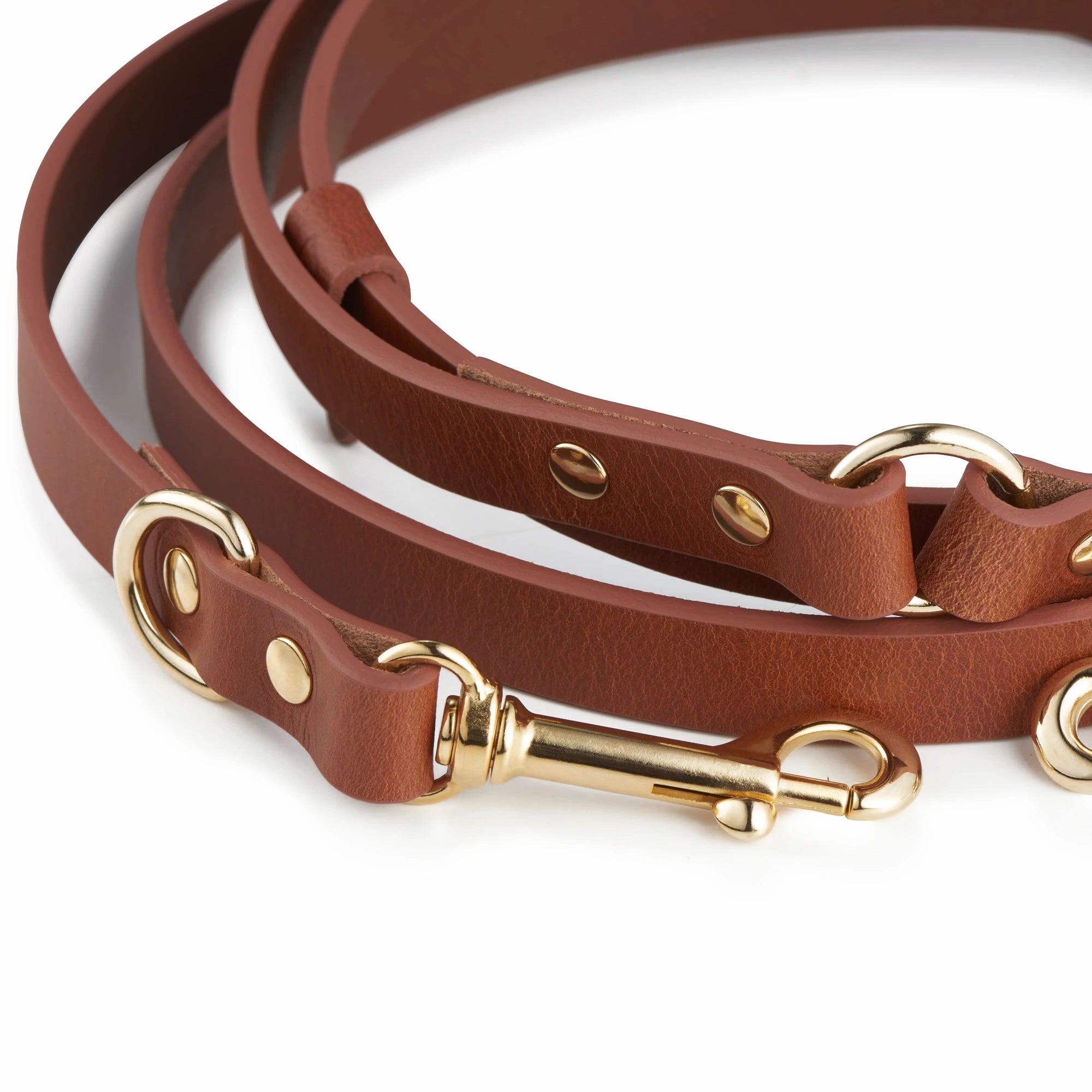 Lederleine Cognac – 3-fach verstellbar & freihändig nutzbar.