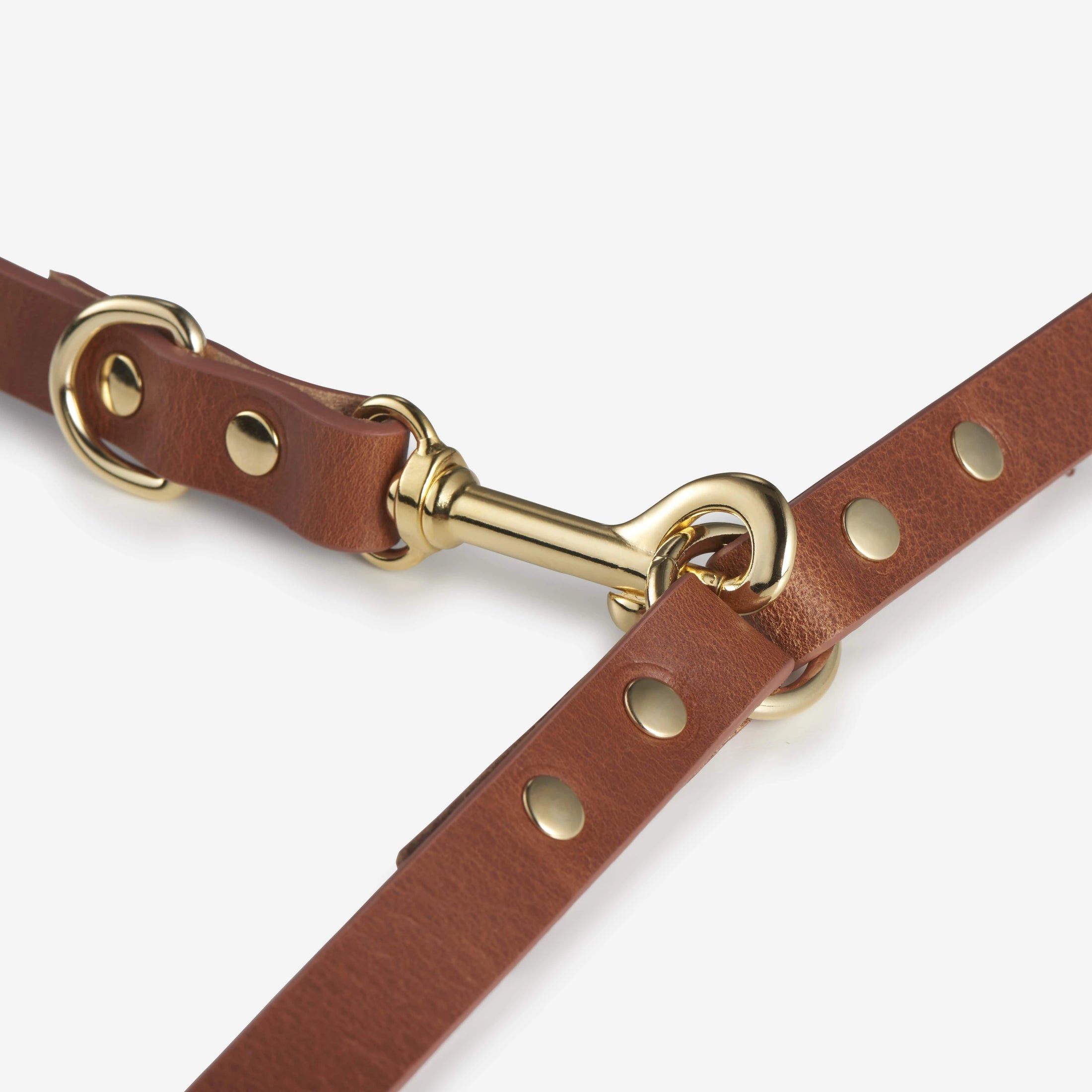 Detail Lederleine – goldene Metallringe & Karabiner.