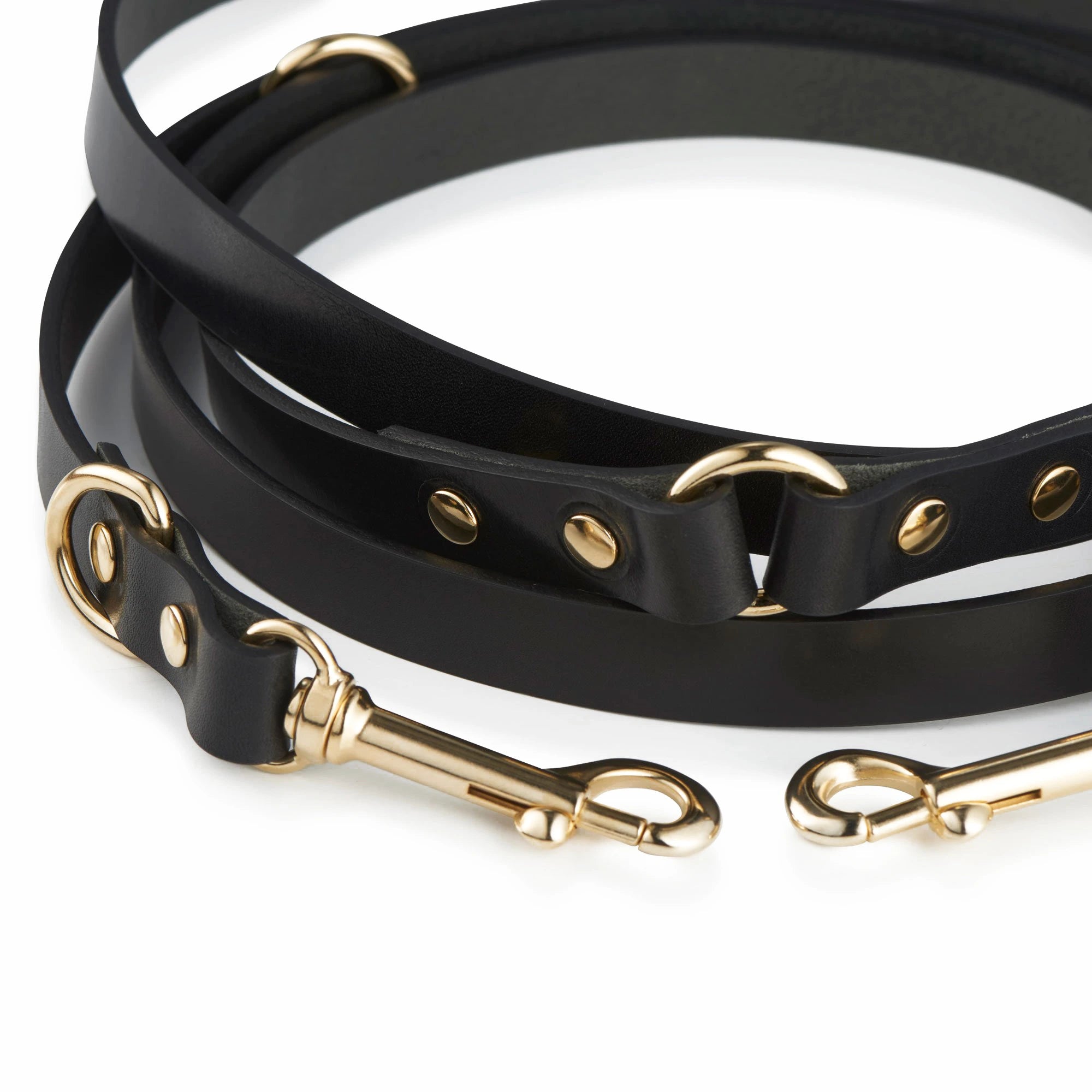 Lederleine Schwarz – 3-fach verstellbar & freihändig nutzbar.