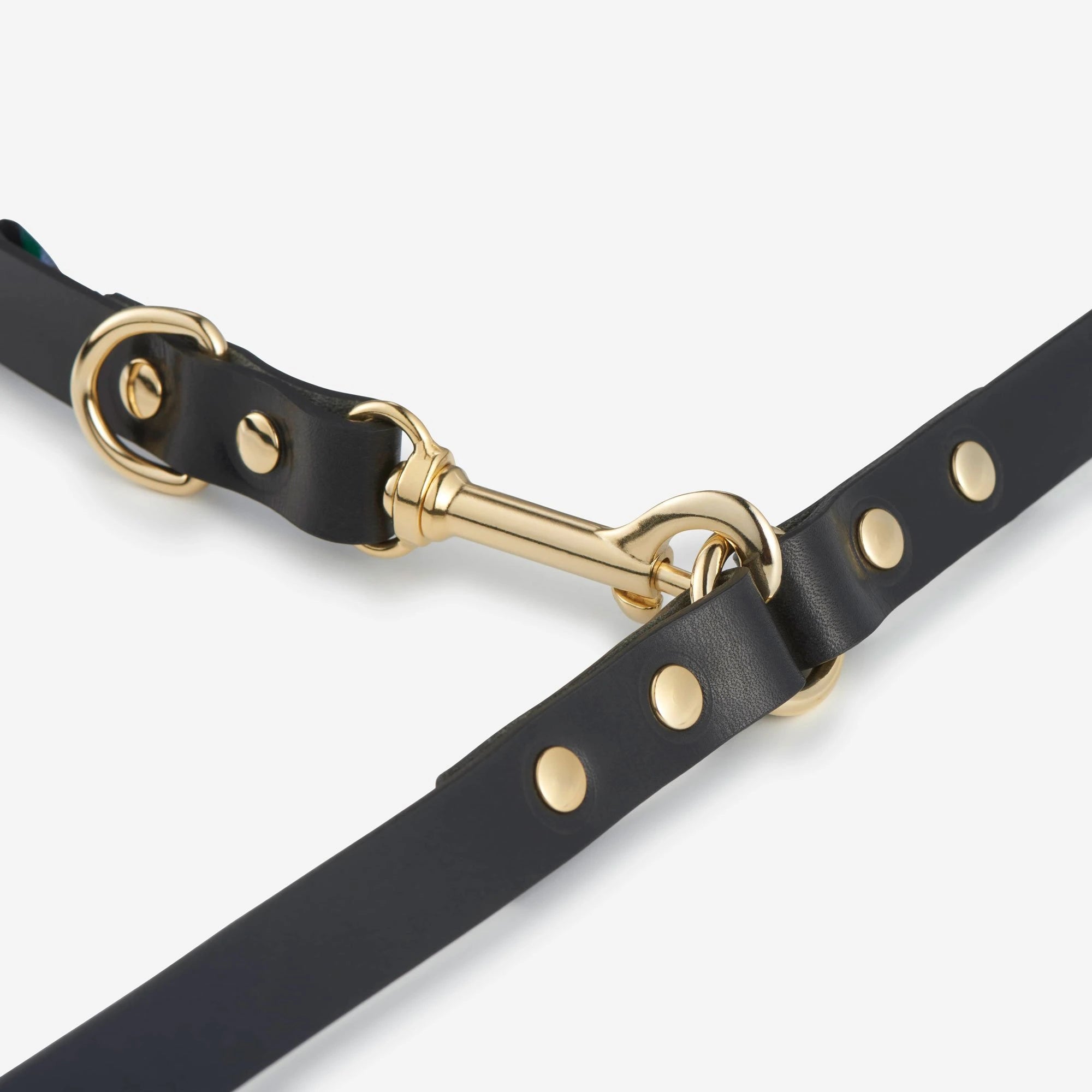 Detail Lederleine – goldene Metallringe & Karabiner.