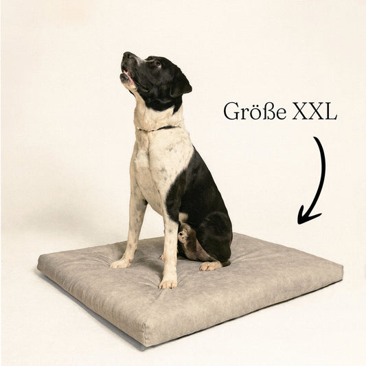 Nachhaltiger Liegeplatz "SOFTPET-Schaum - 2nd life"