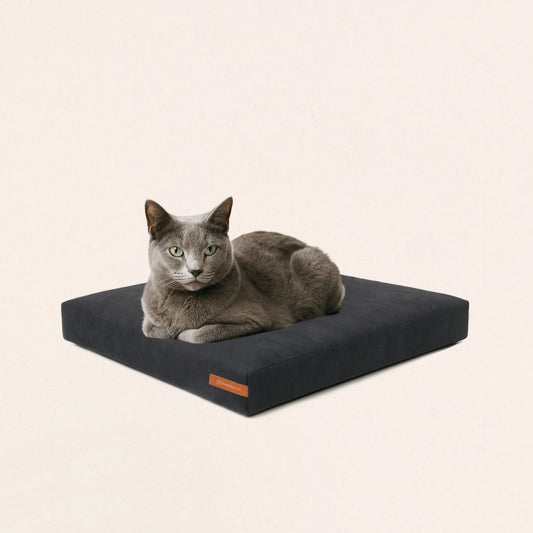 Nachhaltiger Liegeplatz "SOFTPET-Schaum - 2nd life"