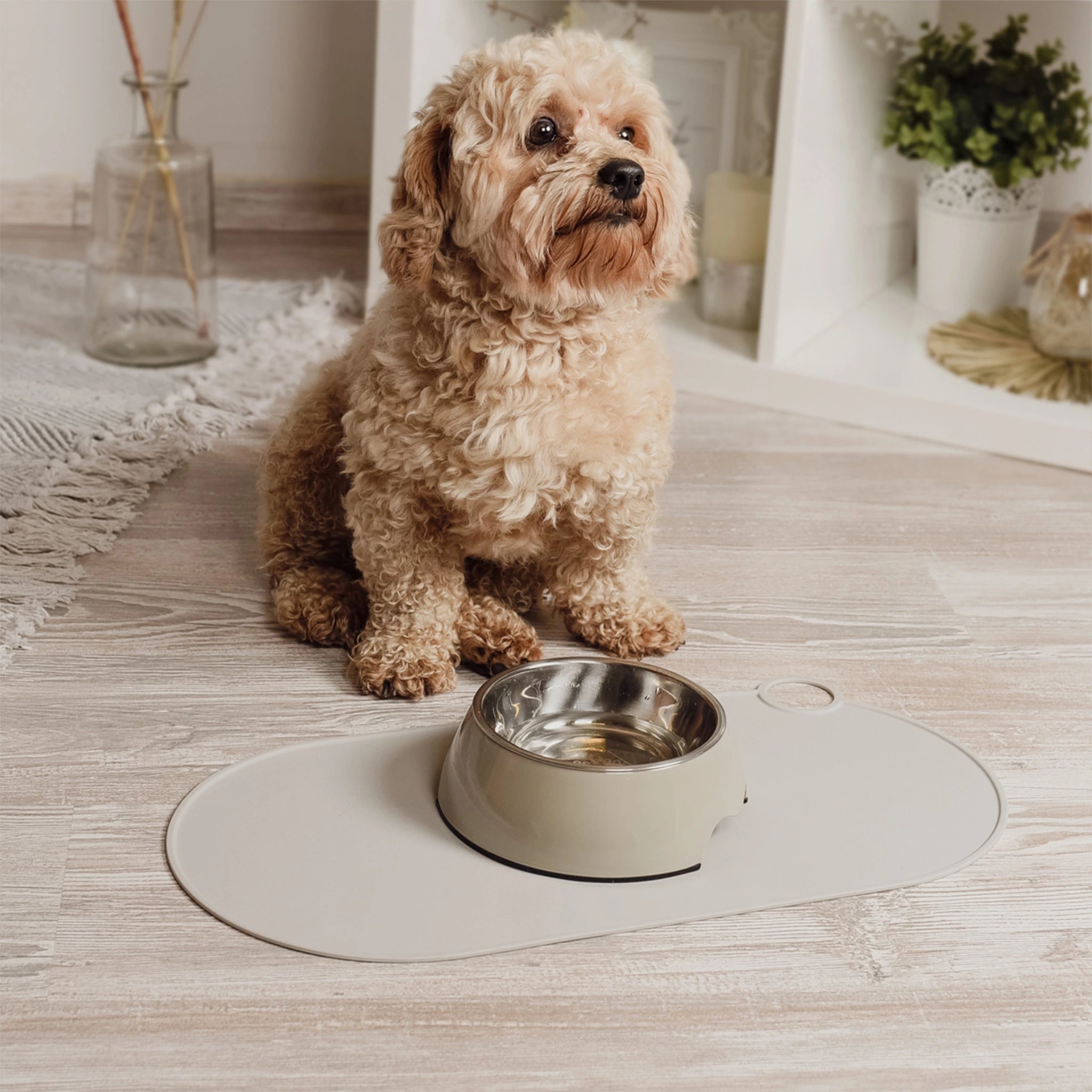 Kleiner Hund mit Napf auf Silikonmatte – sicherer Stand.