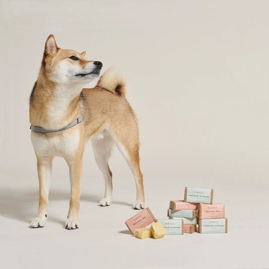 Solid Organic Dog Shampoo "Marvelously Mild"