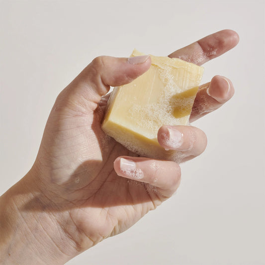 Hand hält festes, aufgeschäumtes Hundehsampoo