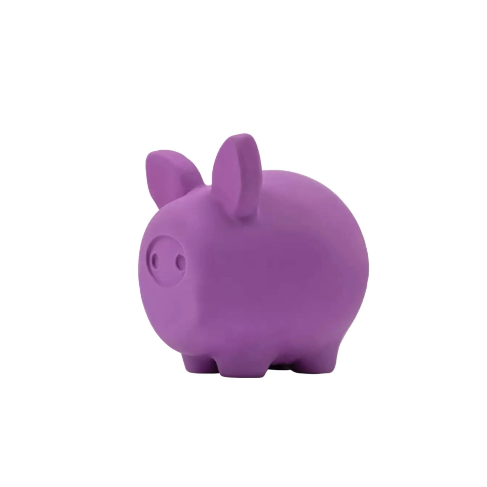 Hundespielzeug Piggy – Oberfläche aus Naturlatex