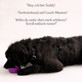 Load image into Gallery viewer, Hund kaut auf Naturlatex Hundespielzeug Piggy

