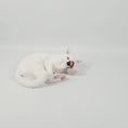 Video in Galerie-Betrachter laden und wiedergeben, Video einer Katzen die mit dem Katzenkissen in Regenbogenoptik spielt
