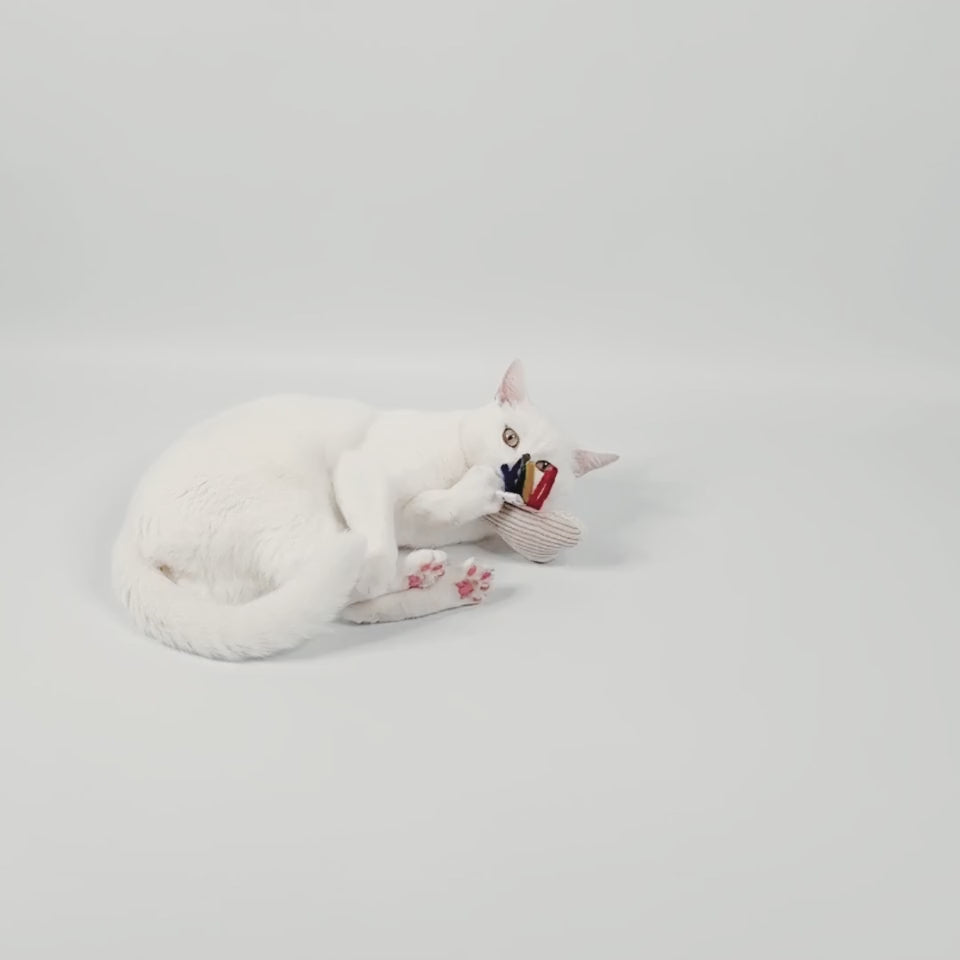 Video einer Katzen die mit dem Katzenkissen in Regenbogenoptik spielt