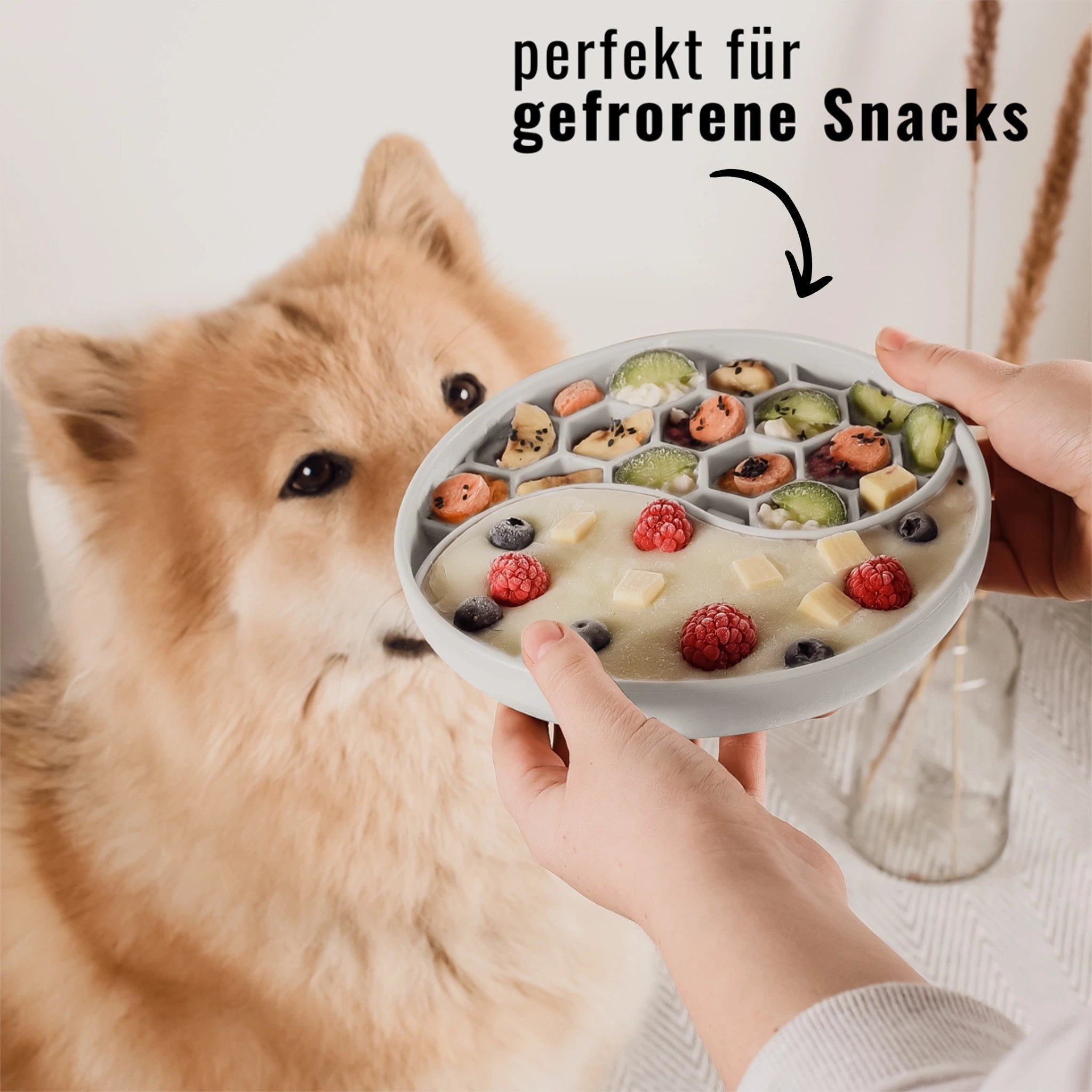 Anti-Schlingnapf aus Silikon – gefrorenes Futter in der Schleckmatte in den Händen einer Person mit Hund im Hintergrund.