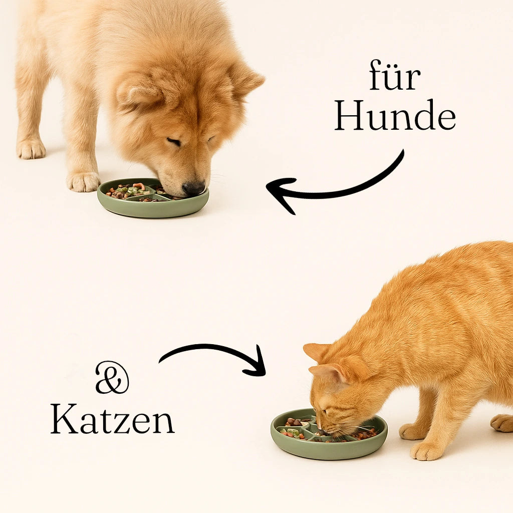 Schleckmatte im Einsatz – Hund/Katze schleckt beruhigt Futter von Matte.