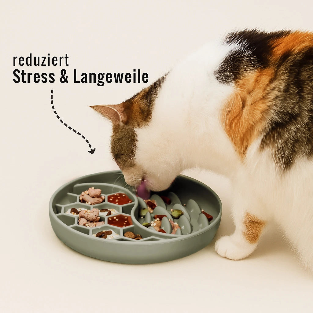 Schleckmatte aus Silikon – Anti-Schling-Design, rutschfest & gefriergeeignet. Katze schleckt am Napf. Reduziert Stress und Langeweile.