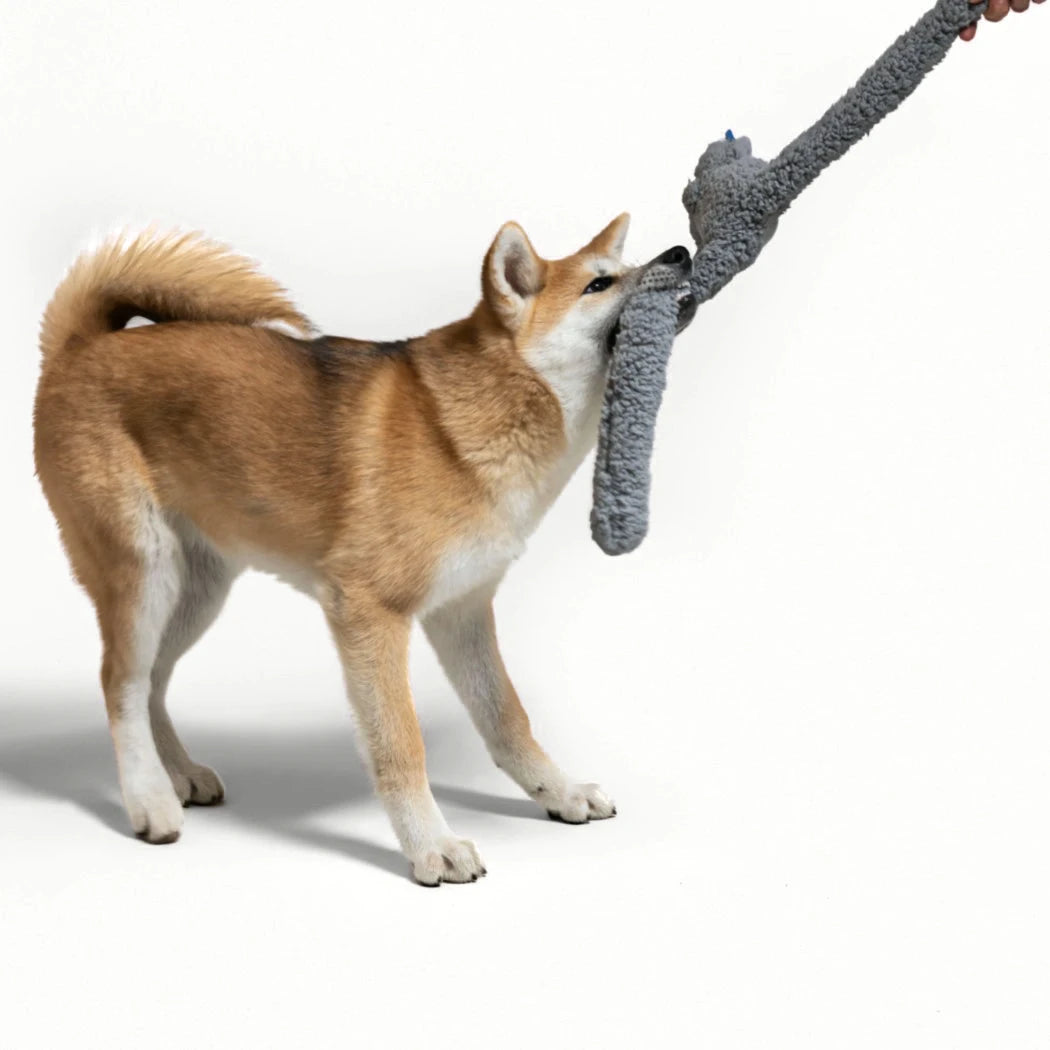 Aroma-Spielzeug Rosicchio mit Hund – Kuschelspielzeug für Haustiere