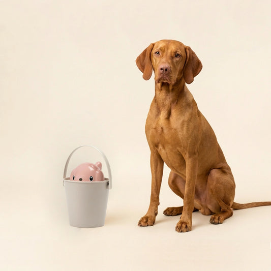 Hund sitzt neben Trockenfutterbehälter ‚Dog‘ in Rosa und Hellgrau mit Deckel im Hundedesign – luftdicht & spülmaschinenfest.