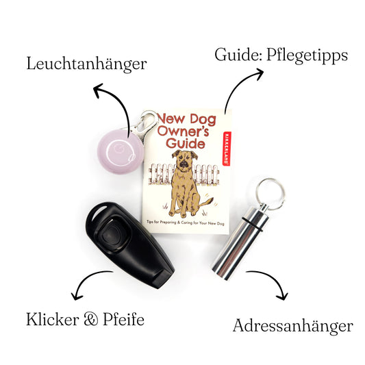 Welcome package for dogs