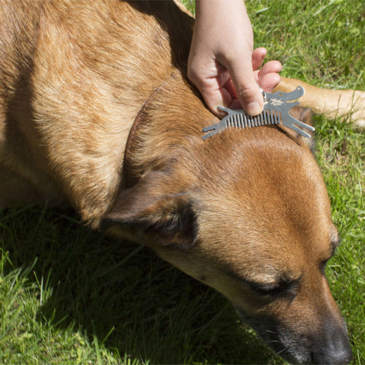 Tick comb for dogs